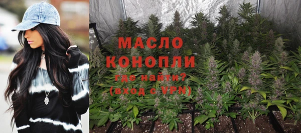 дмт Алзамай