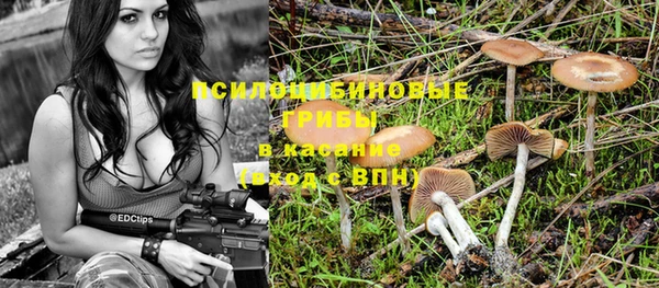 дмт Алзамай