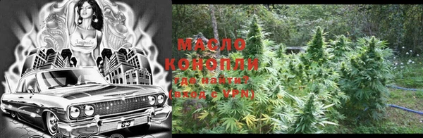 дмт Алзамай