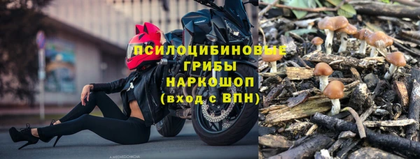 дмт Алзамай