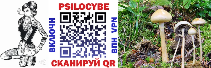 Галлюциногенные грибы прущие грибы  Порхов 
